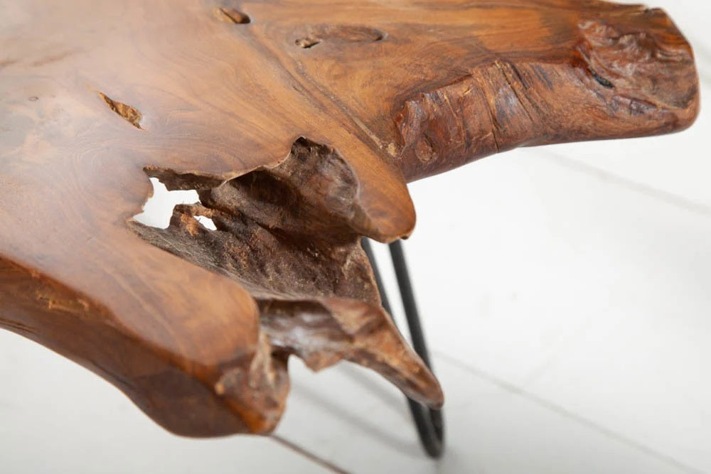 Extravaganter Teak-Couchtisch ALBERO 100cm natur Baumscheibe