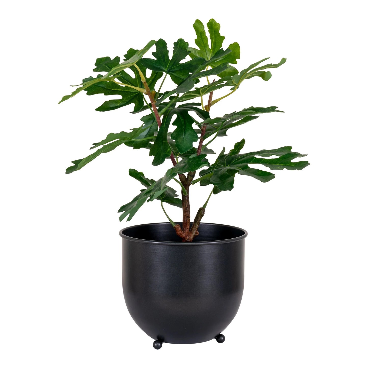 Künstliche Pflanze FEIGENBAUM ca. H50cm Feige Ficus