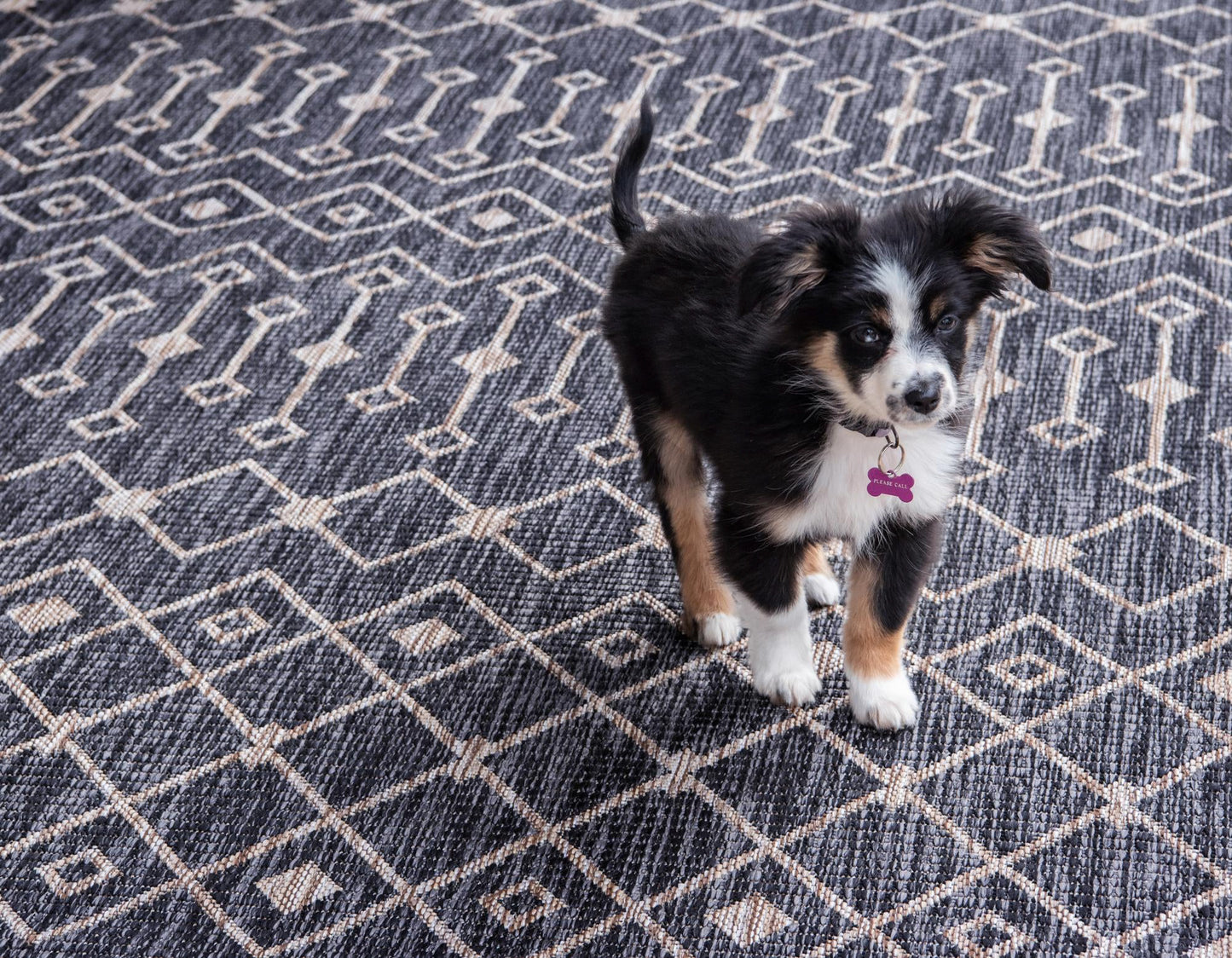 Teppich "OUTDOOR CIATO" Rechteck. Holzkohle Grau 150x245 cm