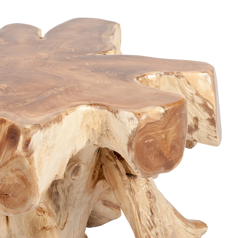 Couchtisch AKAR Natural ca. D60cm Teak-Wurzel Beistelltisch