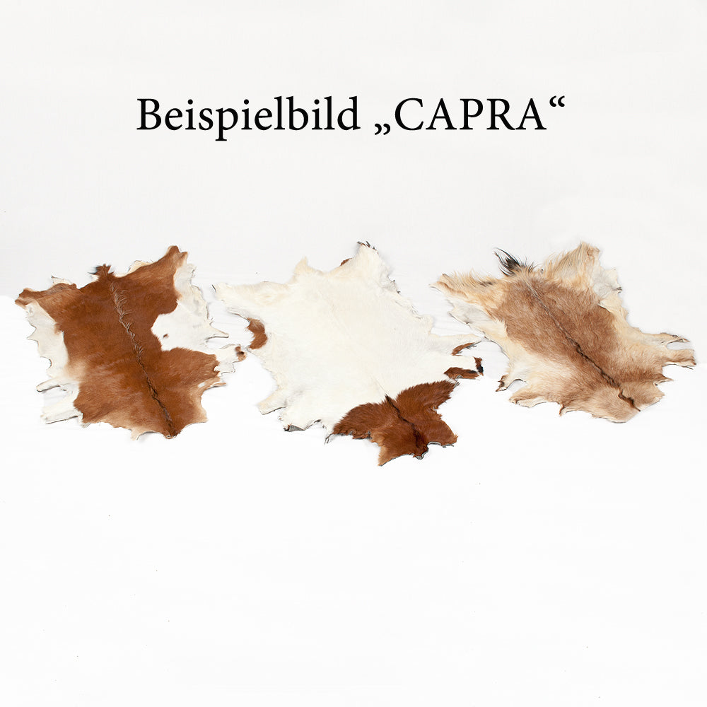 Echtes Ziegenfell CAPRA ca. 90-100cm