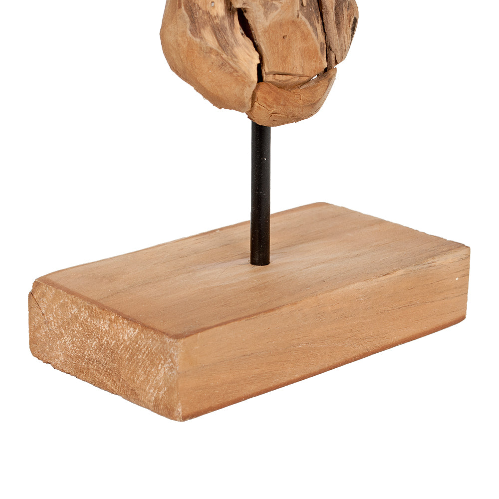 Teak Deko-Schädel BULL mit Stativ Natural
