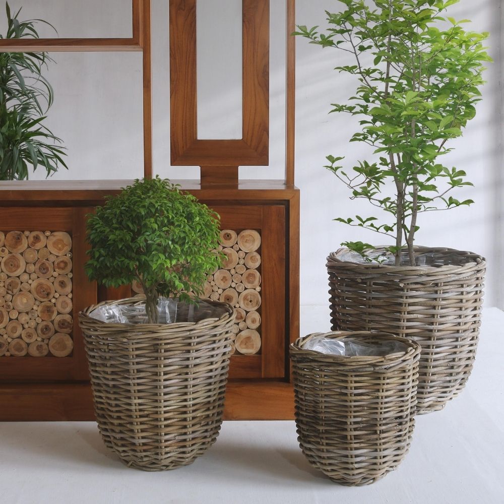Natur Rattan Pflanzkorb BORKUM Kubu Grey ca.40cm Pflanztopf – LebensWohnArt