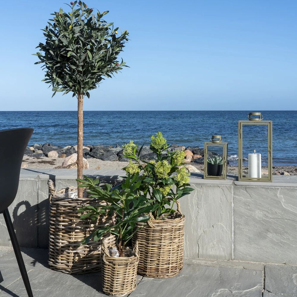 Künstliche Pflanze FEIGENBAUM ca. H50cm Feige Ficus