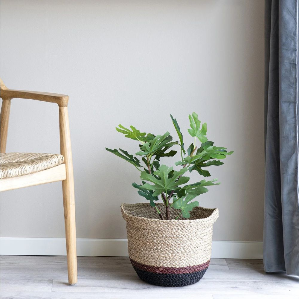 Künstliche Pflanze FEIGENBAUM ca. H50cm Feige Ficus