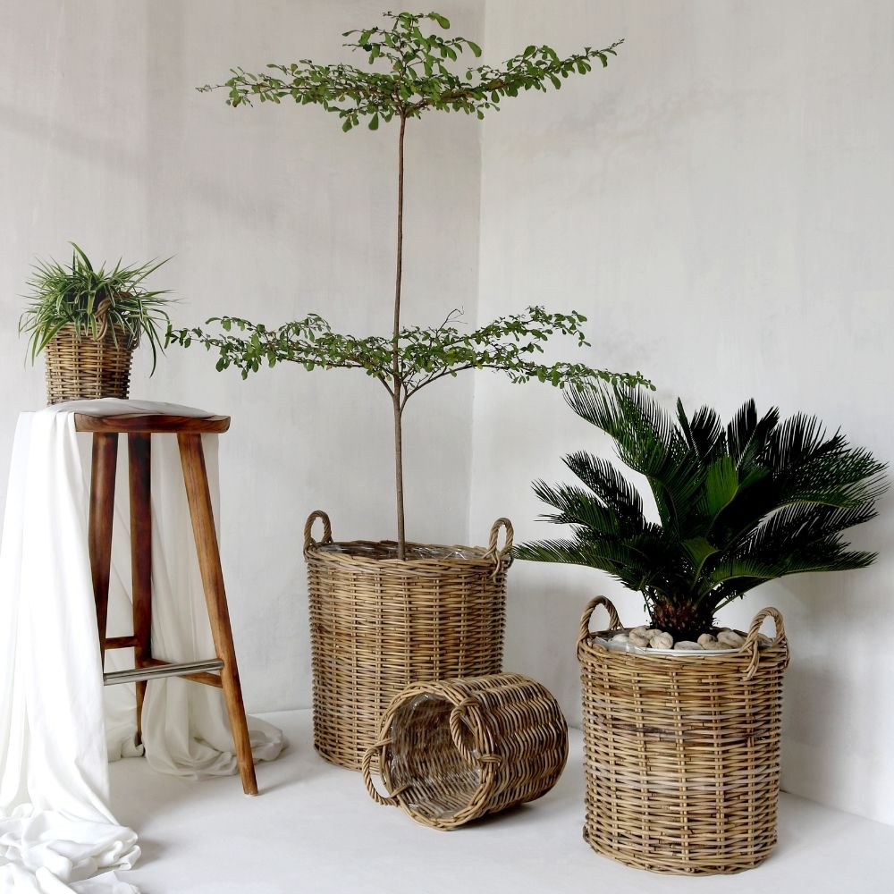 Natur Rattankorb BAKUL rund Grey 50cm Pflanzkorb Inlay Griffe