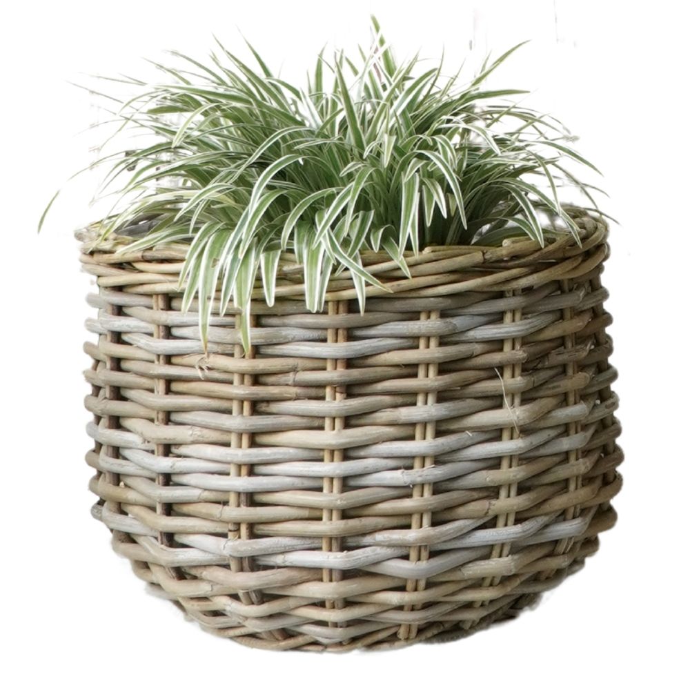 Pflanzkorb BÜSUM Natural Grey ca. 34cm Natur-Rattan Korb Übertopf