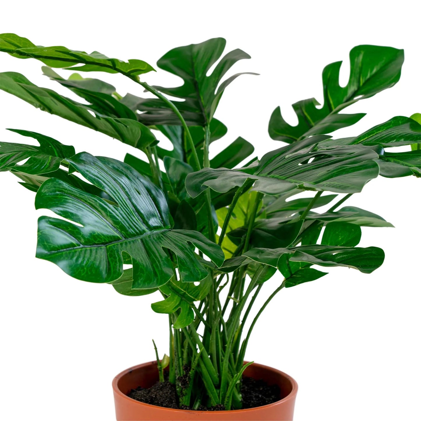Künstliche Pflanze Monstera FENSTERBLATT ca. H45cm Deliciosa