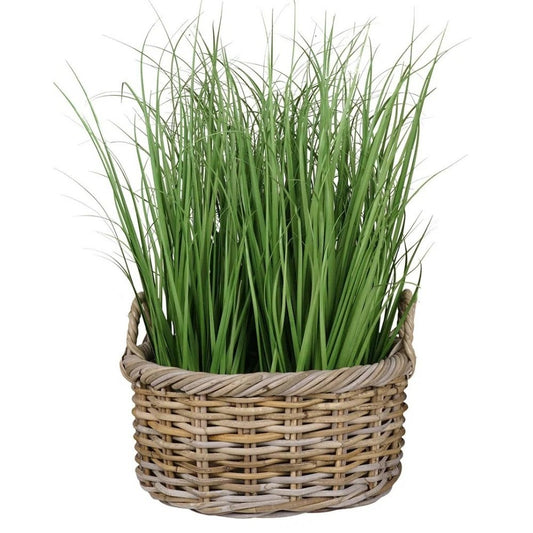 Natur Rattankorb NORDERNEY Kubu Grey ca.50cm Pflanzkorb Griffe