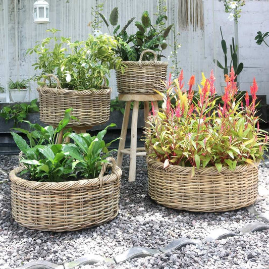 Natur Rattankorb NORDERNEY Kubu Grey ca.70cm Pflanzkorb Griffe