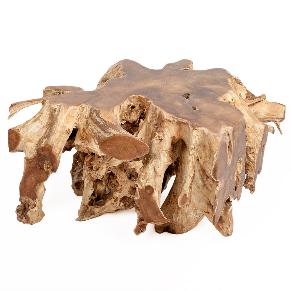 Einzigartiger Teak-Wurzel  Couchtisch AKAR Natural ca. 80x80cm