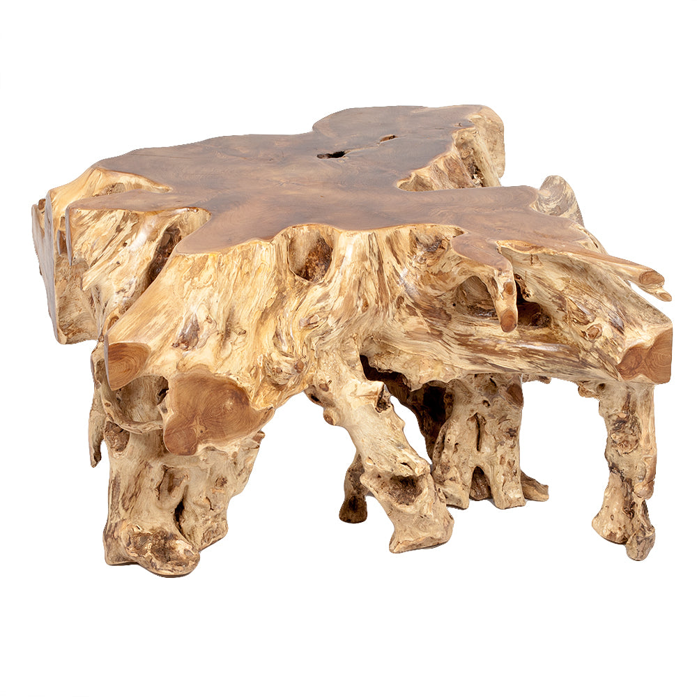 Einzigartiger Teak-Wurzel  Couchtisch AKAR Natural ca. 80x80cm