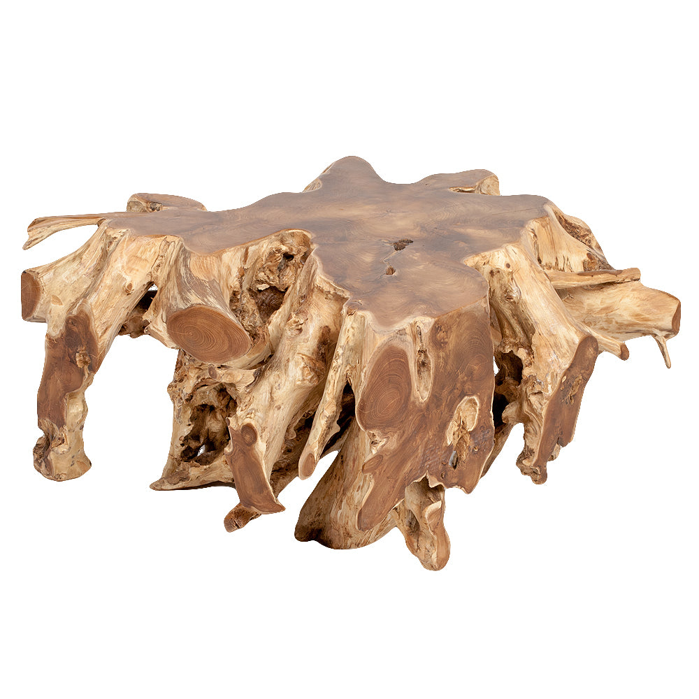 Einzigartiger Teak-Wurzel  Couchtisch AKAR Natural ca. 80x80cm