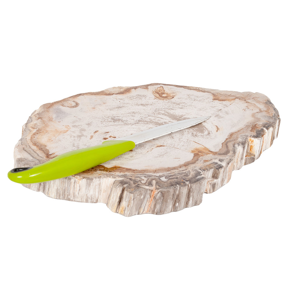 Versteinertes Schneidebrett BATU ca. L25-30cm