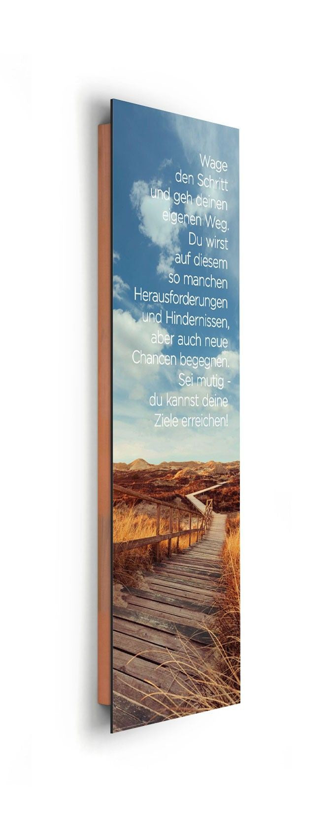 Wandbild ZIELE ERREICHEN 30x90cm Deko Bild Holzschild