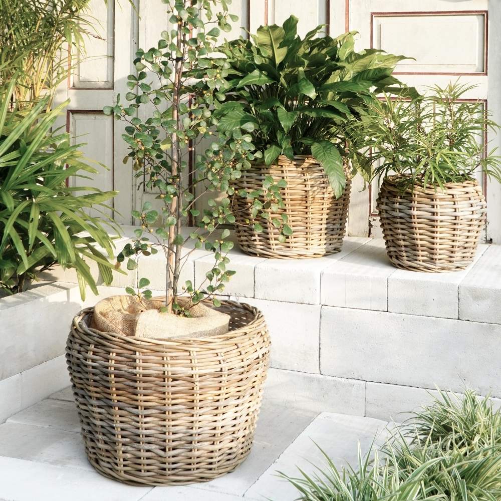 Natur Rattankorb GINI Natural Grey ca.46x36cm Pflanzkorb Übertopf