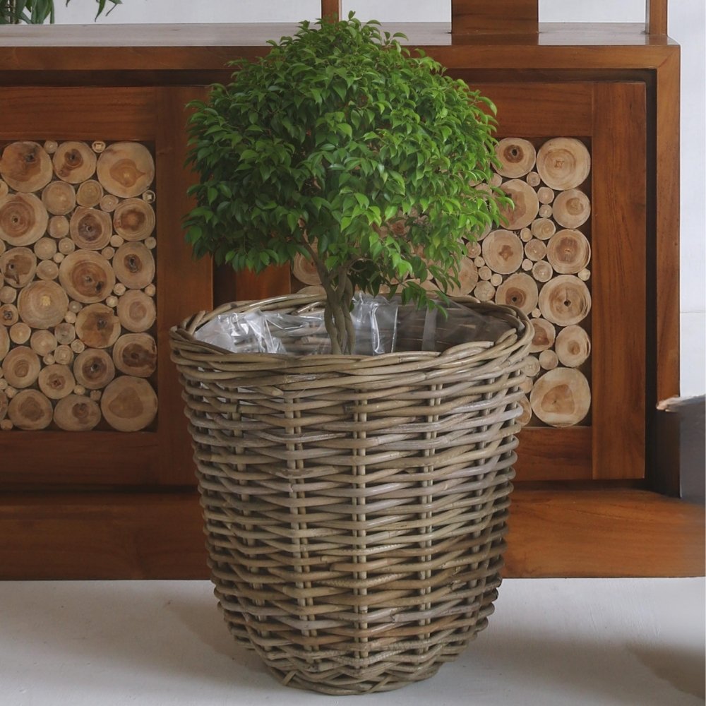 Natur Rattan Pflanzkorb BORKUM Kubu Grey ca.40cm Pflanztopf
