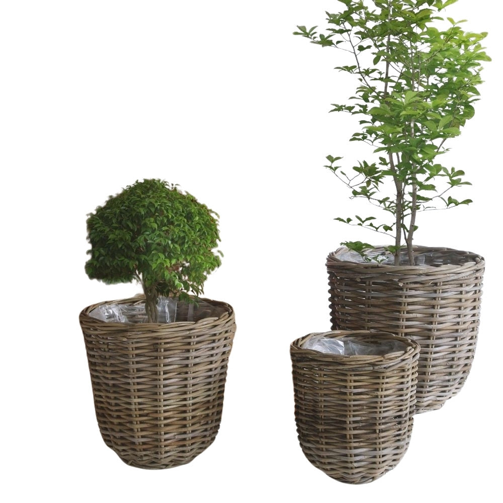 Natur Rattan Pflanzkorb BORKUM Kubu Grey ca.40cm Pflanztopf