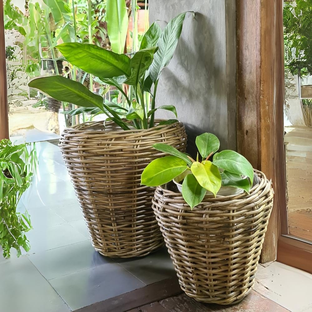 Natur Rattan Pflanzkorb AMRUM Kubu Grey ca.H40cm Pflanztopf