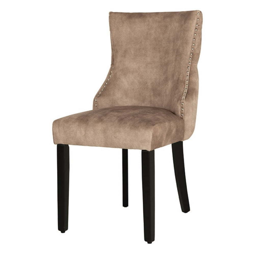Edler Stuhl LEON Samt beige Löwenkopf Nieten Chesterfield