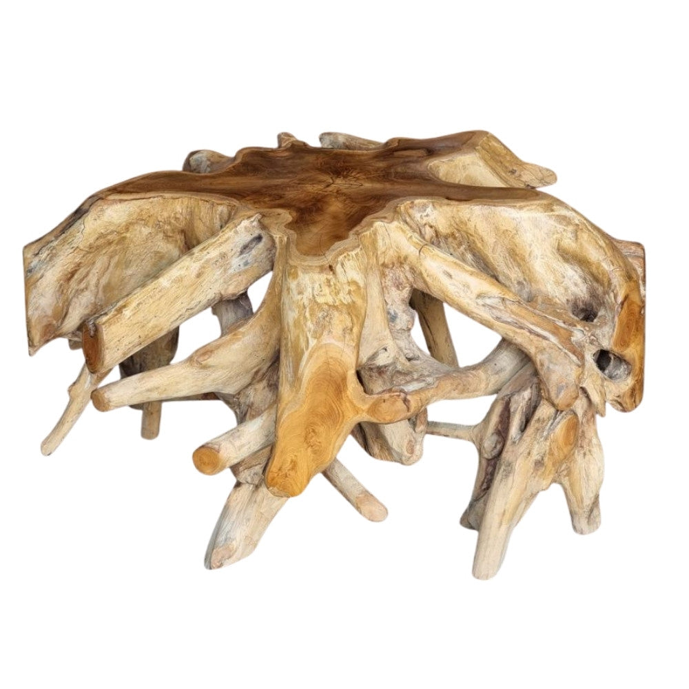 Unikat Couchtisch AKAR Natural ca.60cm Teak-Wurzel Beistelltisch