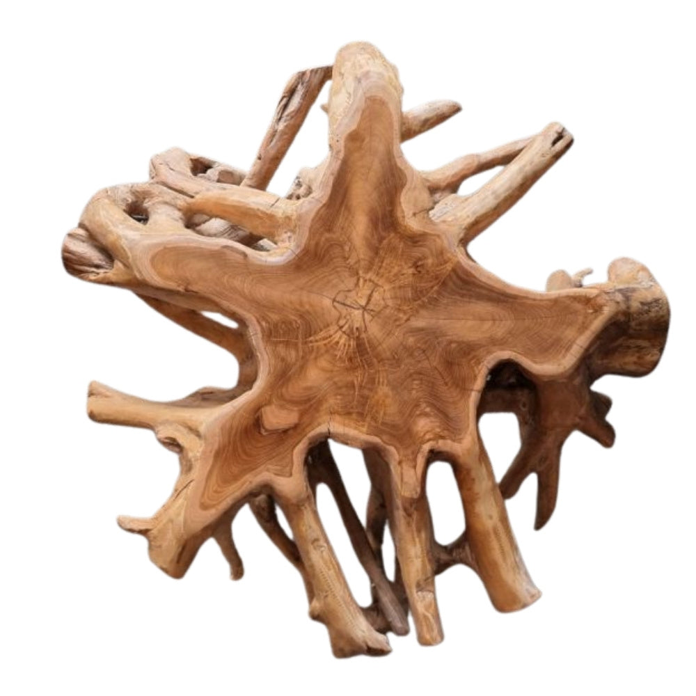Unikat Couchtisch AKAR Natural ca.60cm Teak-Wurzel Beistelltisch