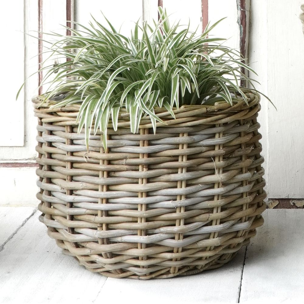 Pflanzkorb BÜSUM Natural Grey ca.40cm Natur-Rattan Korb Übertopf – LebensWohnArt