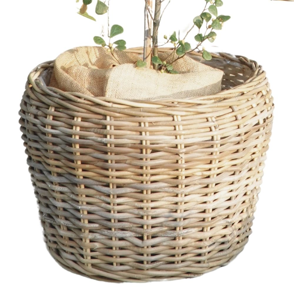 Natur Rattankorb GINI Natural Grey ca.46x36cm Pflanzkorb Übertopf