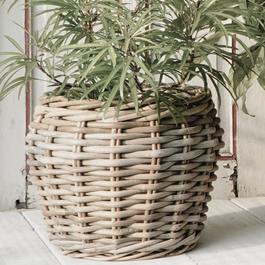 Natur Rattankorb GINI Natural Grey ca.42x35cm Pflanzkorb Übertopf