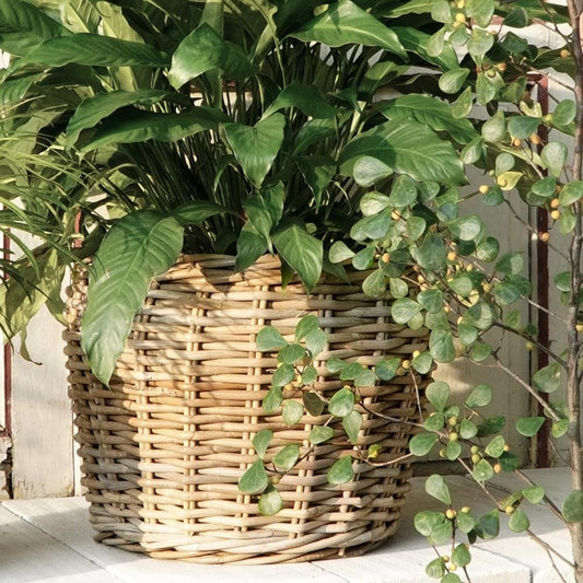 Natur Rattankorb GINI Natural Grey ca.32x28cm Pflanzkorb Übertopf
